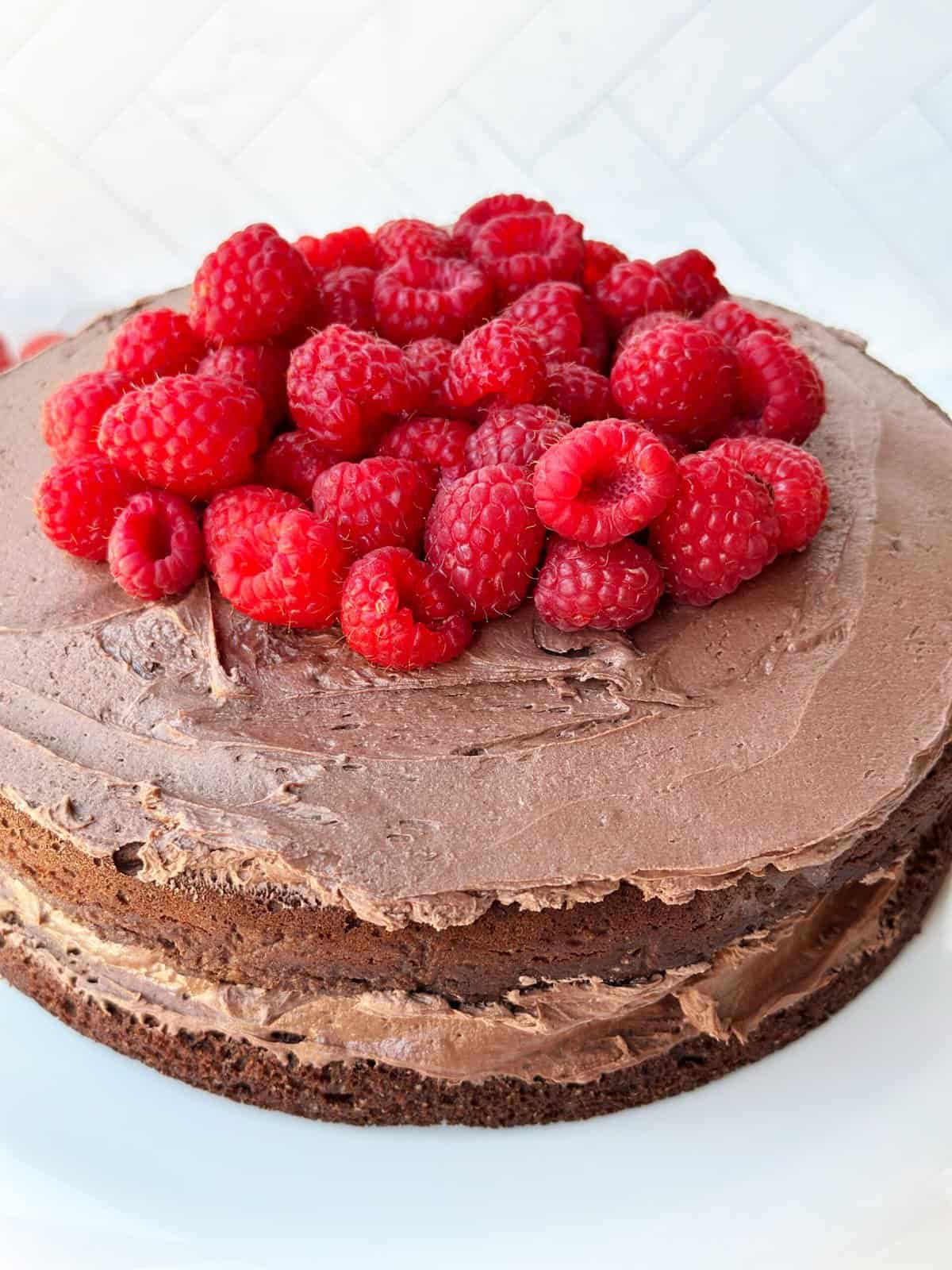 Fresh raspberries topping a rich chocolate cake for a delicious dessert.