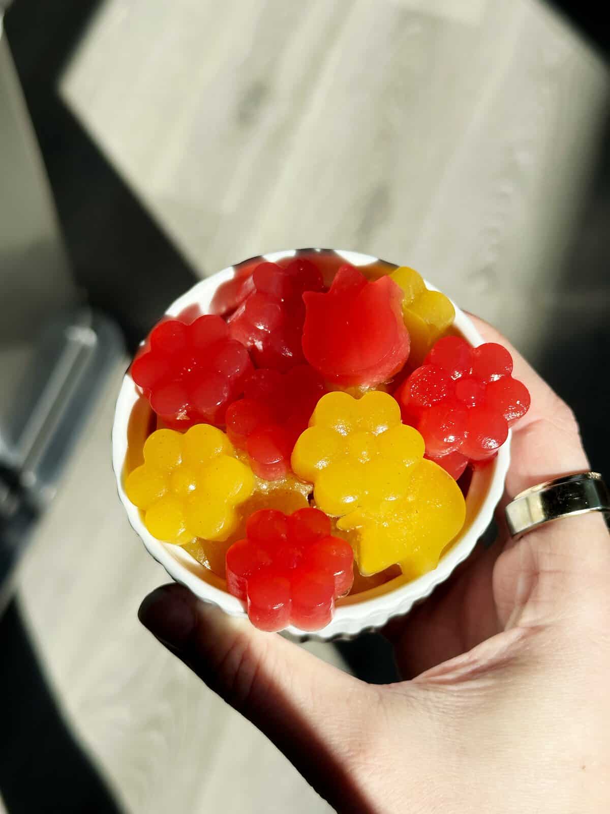 Homemade Gummies Lesswithlaur