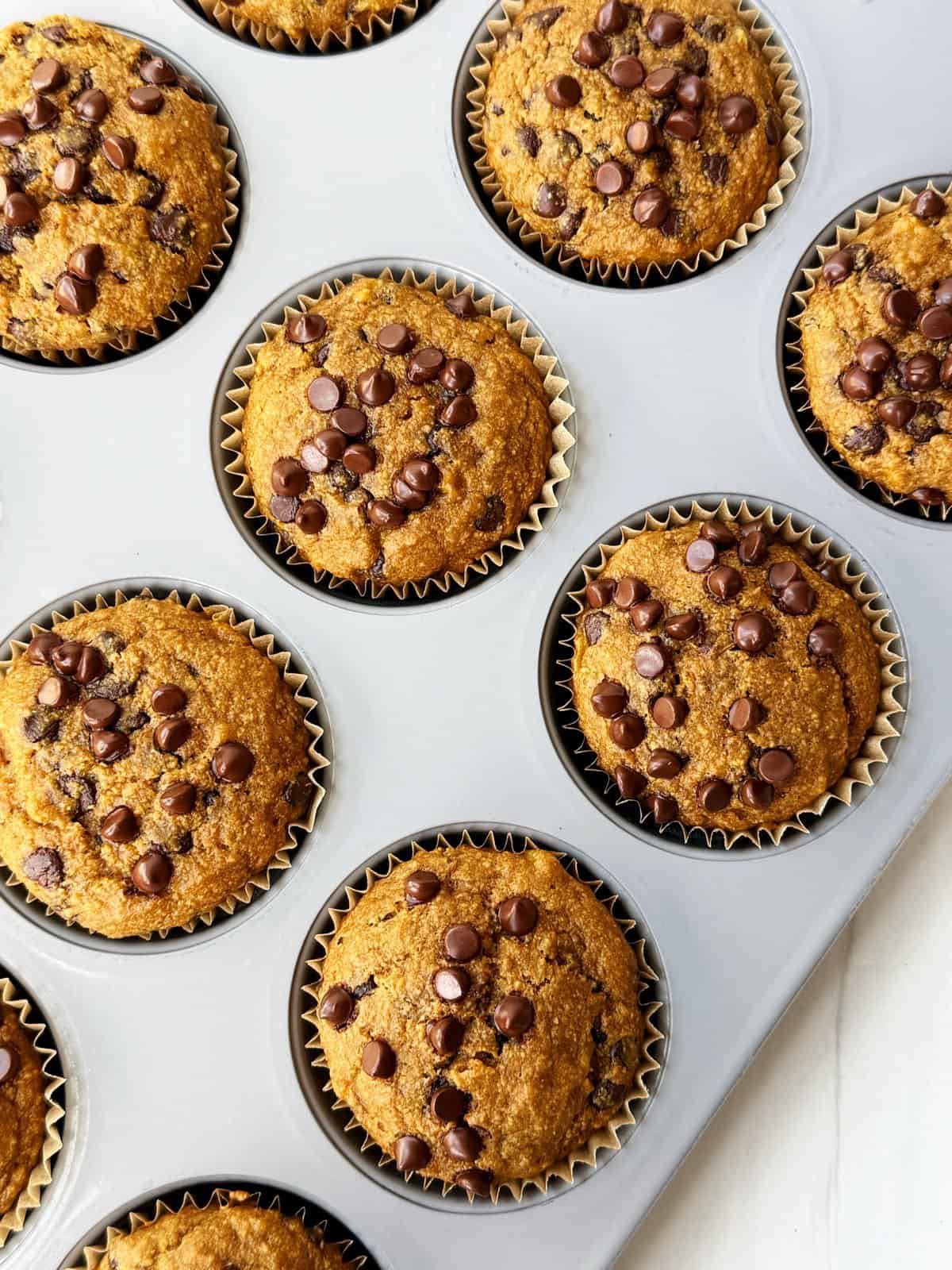 Pumpkin Banana Chocolate Chip Muffins