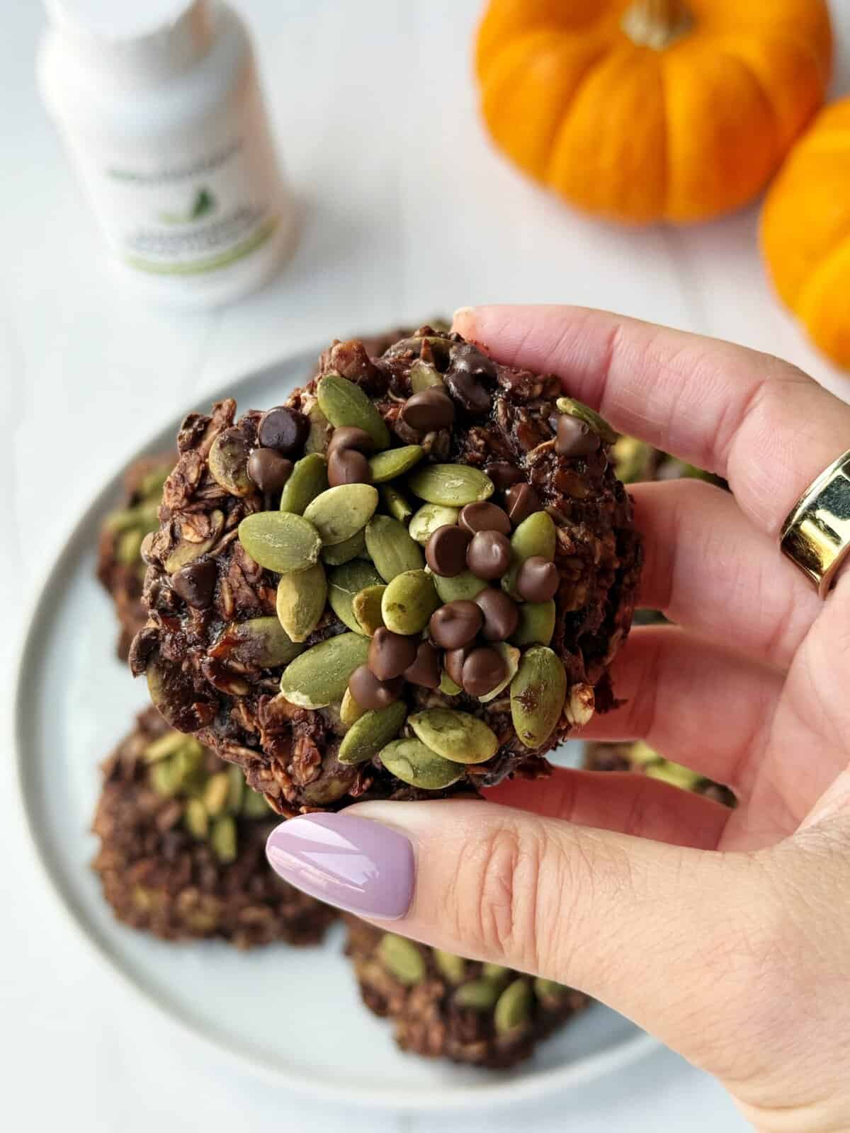 chocolate breakfast cookies